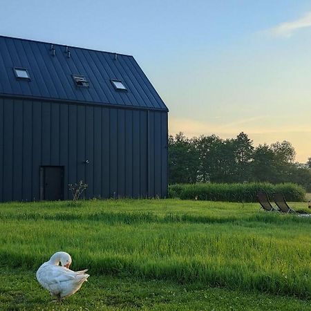 Apartamenty Boczna 3B Z Sauna I Balia Kudowa-Zdroj Bagian luar foto